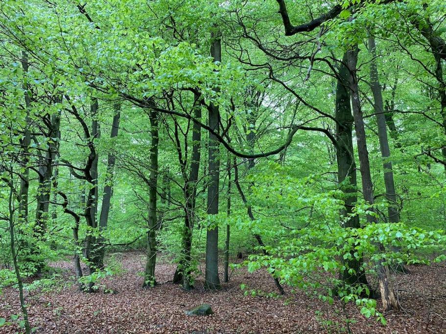Traumhafte Ferienwohnung Im Landhausstil Hanshagen  Exteriér fotografie